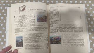 Las Maravillas del Universo - Álbum Nestlé