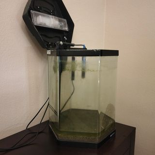 Acuario BOYU 30L con filtro y luz