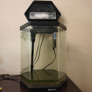 Acuario BOYU 30L con filtro y luz