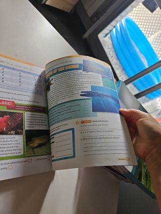 Super Minds Level 5 Workbook with Digital Pack British English