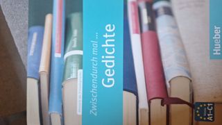 Zwischendurch mal... Gedichte