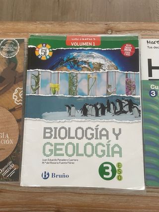Lote de libros de 3 ESO GSD