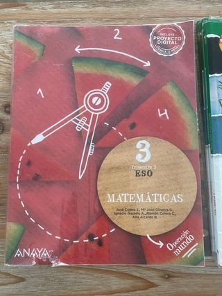 Lote de libros de 3 ESO GSD