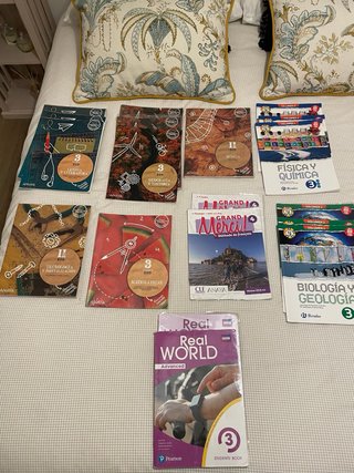 Lote de libros de 3 ESO GSD