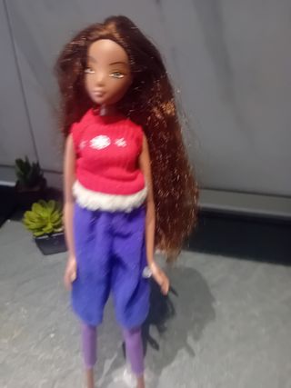 Barbie bambola capelli lunghi
