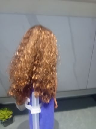 Barbie bambola capelli lunghi