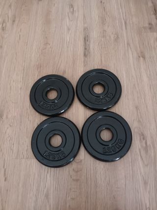 Discos peso 1.25kg - 4uds