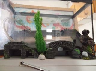 Acuario terrario
