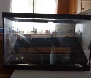 Acuario terrario