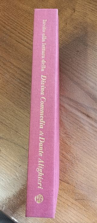Invito alla lettura della divina commedia di Dante