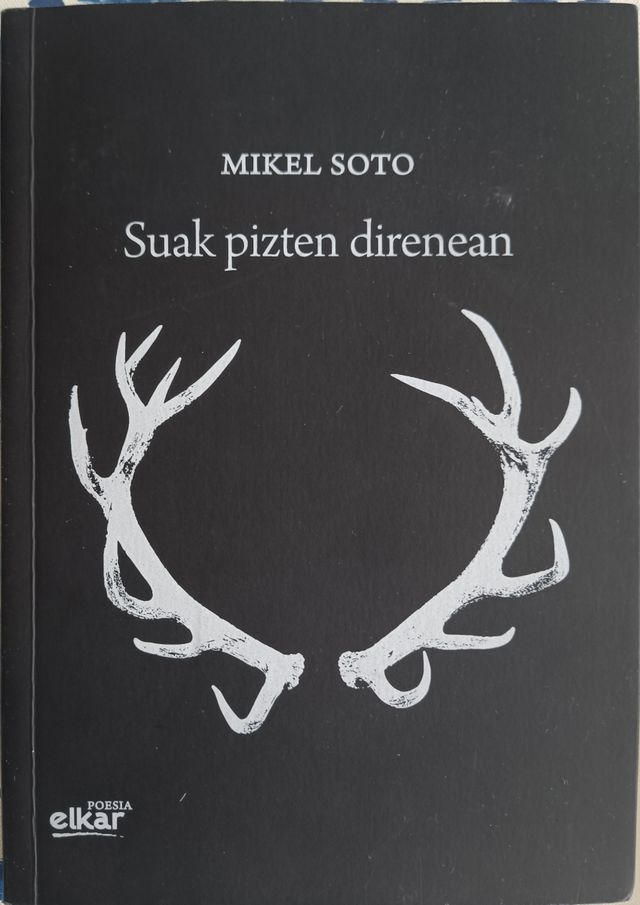 Suak pisten direnean