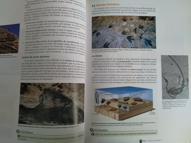 Biología y Geología 1º Bachillerato Tesela Libr...