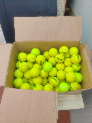 Pelotas Tenis