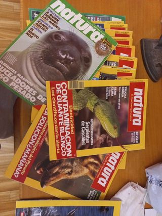 LOTE Revistas Natura