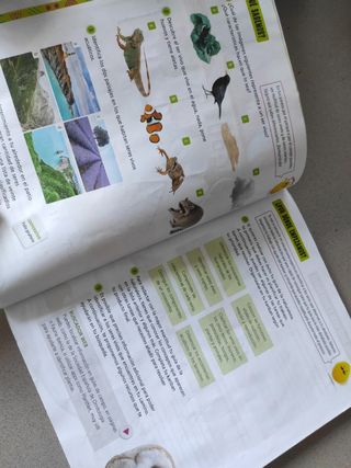 Proyecto: FanFest. Ciencias de la Naturaleza 3 ...