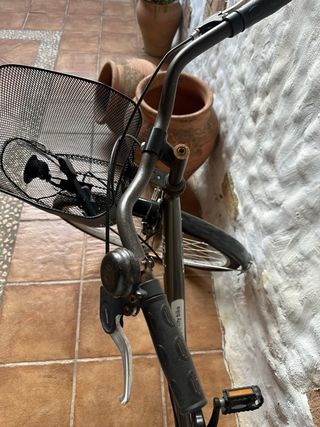 Bicicleta paseo clásica