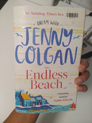 NOVELA EN INGLÉS "THE ENDLESS BEACH"
