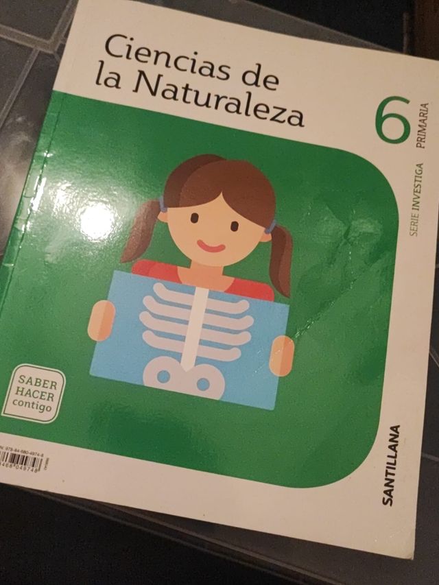 RELIGIÓN CATÓLICA 6