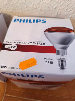 3 Bombillas Philips incandescentes 250W 