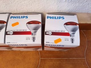 3 Bombillas Philips incandescentes 250W 