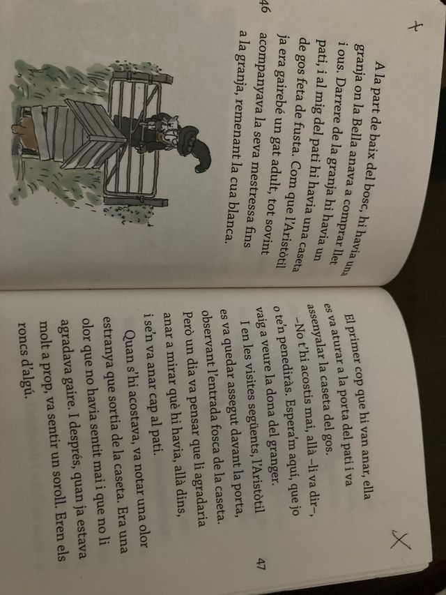 Aristòtil, el millor gat per a una bruixa