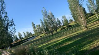 Cuidadora, niñera, limpieza, camarera fines de sem