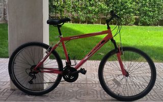 Bicicleta Montaña