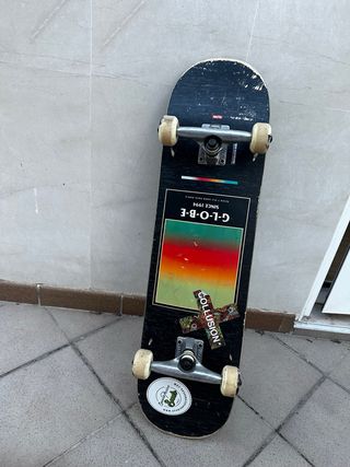 Skate globe 