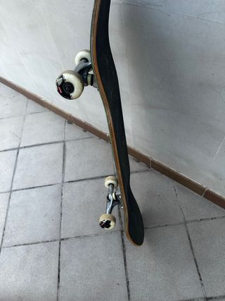 Skate globe 