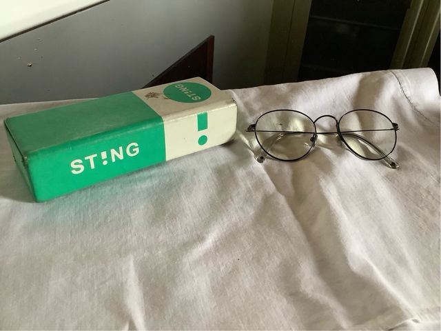 Occhiali Sting grigi - montatura rotonda