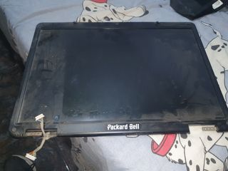 Pantalla Packard Bell - Portátil