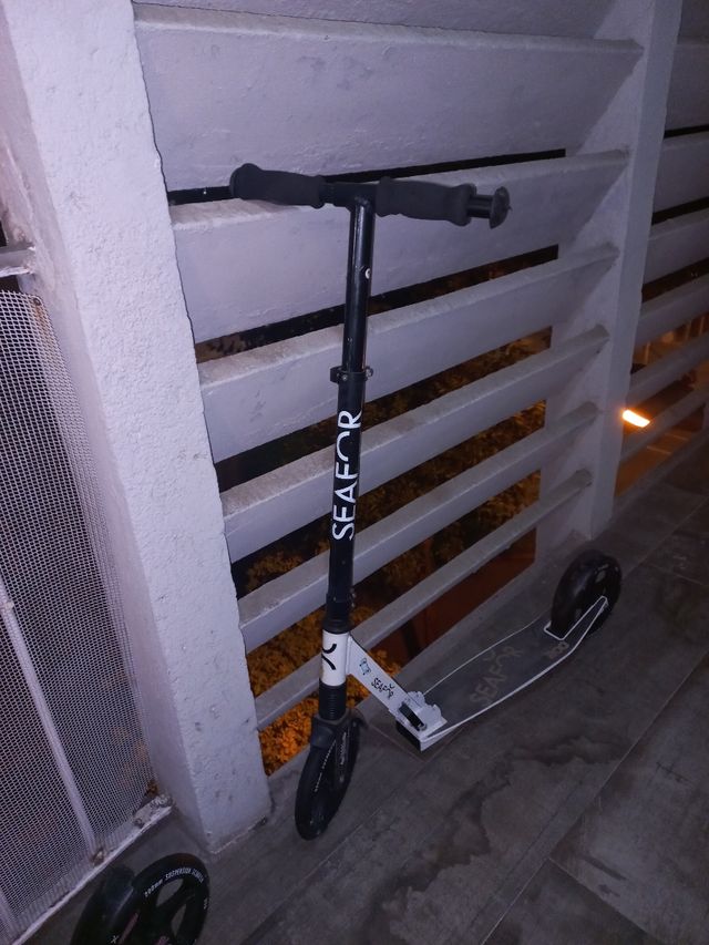 Patinetes Decathlon: 2 unidades 15 euros cada uno.