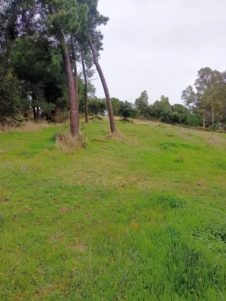 Finca en La Palma del Condado
