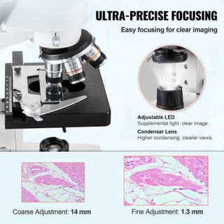 Microscopio Ottico Trinoculare Microscopio Ingrandimento