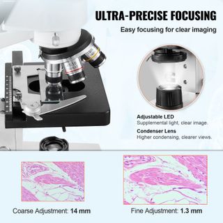 Microscopio Ottico Binoculare Microscopio Ingrandi