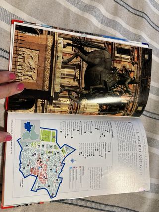 MADRID GUIAS VISUALES 2010 (Spanish Edition)