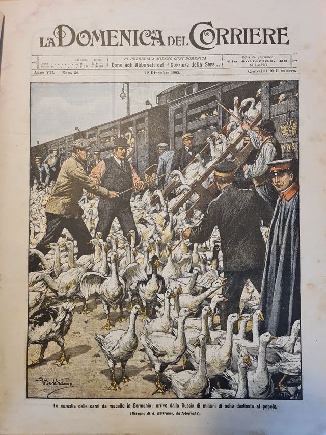 Domenica del Corriere 1905 - fascicoli singoli