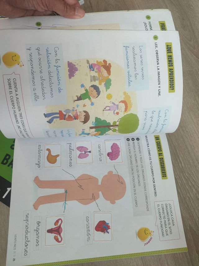 Proyecto: FanFest. Ciencias de la Naturaleza 1 ...