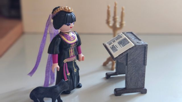 Bruja special plus Playmobil