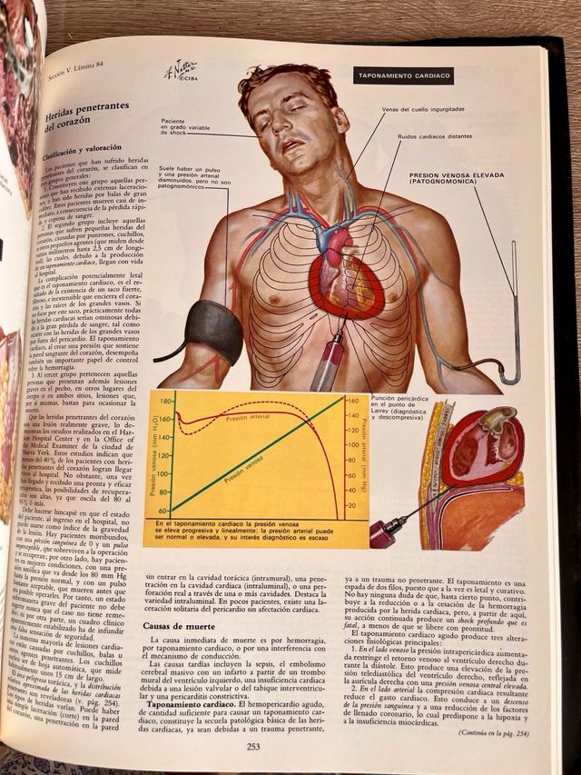 Colección Ciba de ilustraciones médicas: Corazón.