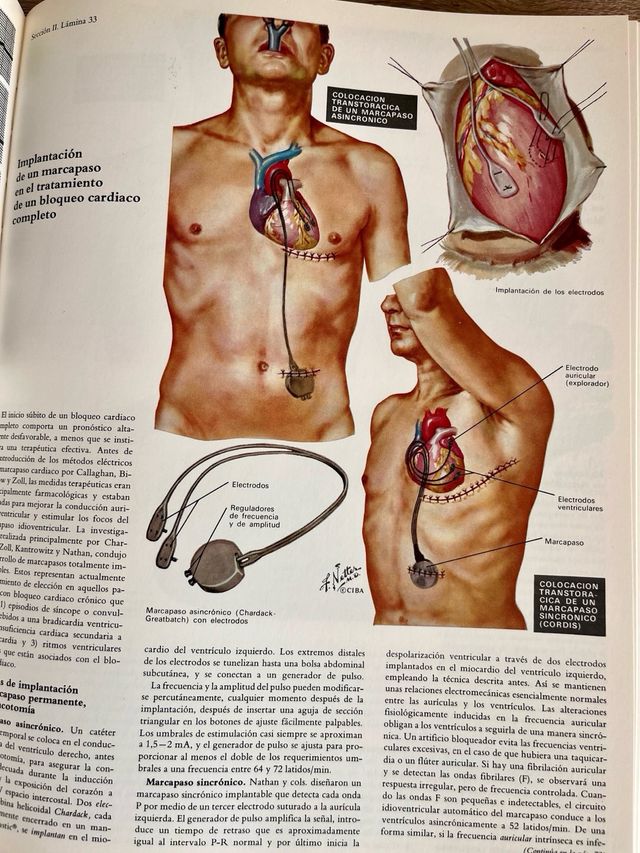 Colección Ciba de ilustraciones médicas: Corazón.