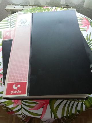 6 Álbumes fotos álbumes páginas Plastificadas