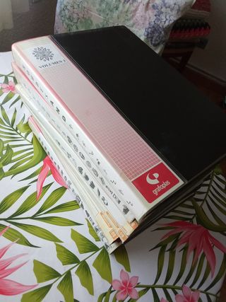 6 Álbumes fotos álbumes páginas Plastificadas