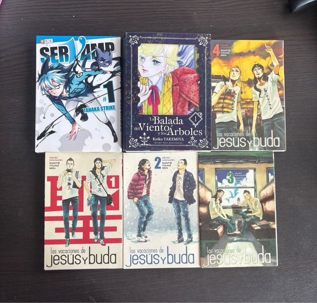Venta de mangas a 5€
