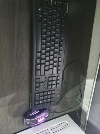 Ordenador de sobremesa +teclado +ratón