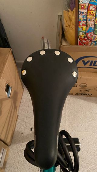 Bicicleta Vintage Raleigh - Talla XS