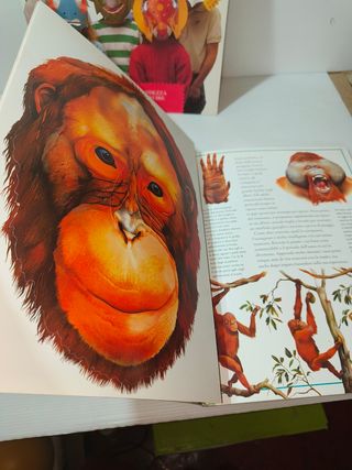 Libri Maschere per bambini