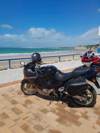 Suzuki GSX600F