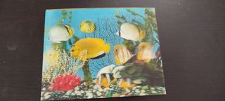 Lám. 3D años 70: Barco & Peces