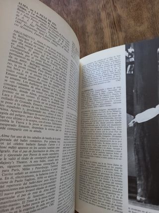 El Ballet: enciclopedia del arte coreográfico
